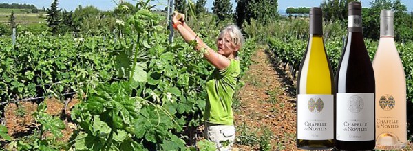 Les vins de Chapelle de Novilis