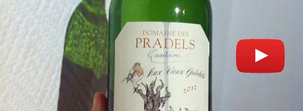 Dégustation des vins du Domaine des Pradels chez inVini