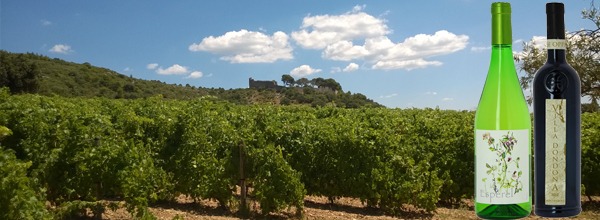 Vermentino en pergola à Villa Dondona