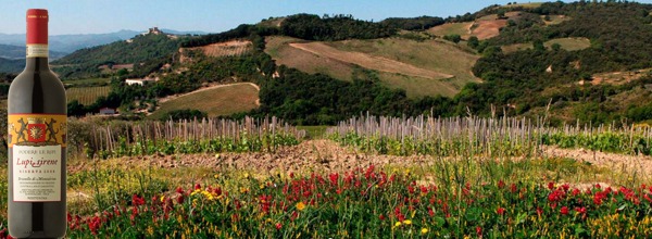 Dégustation Podere Le Ripi chez inVini