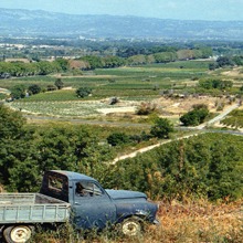 Dégustation gratuite des vins du Domaine de Puilacher (Languedoc) et Baracchi (Toscane)