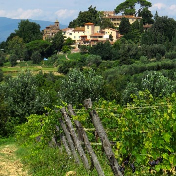 Dégustation des vins de la Sangervasio chez Gusto e Poesia