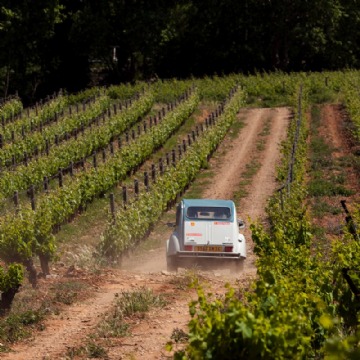 Visites et dégustation de vins dans le Languedoc