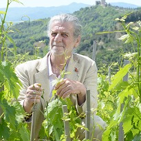 L'histoire du vignoble Bonsai de Francesco Illy sur Wine Spectator 2