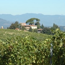 Compte rendu des visites et dégustations de vins en Toscane
