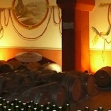 Dégustation gratuite des vins de l'Azienda Agricola Il Monticello (Ligurie)