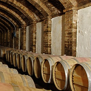 Dégustation des vins du Castello Sonnino (Montespertoli) chez inVini