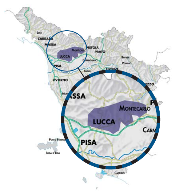 Colline Lucchesi DOC