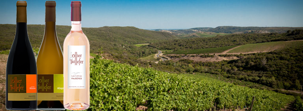 http://www.in-vini.com/domaine-ollier-taillefer